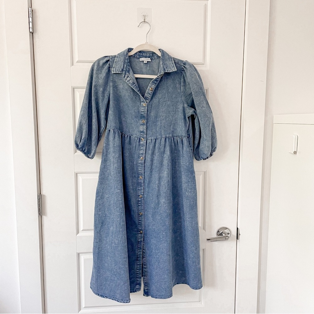 Baltic Born Denim Dress Button Up